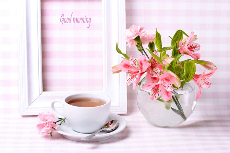 Good morning flower images