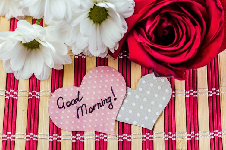 Good morning images with flowers hd