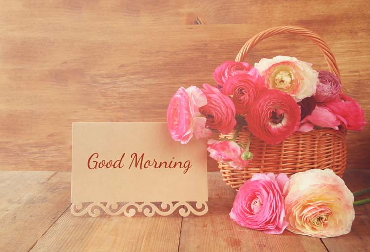 Good Morning Wishes With Flowers Images