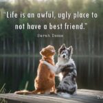 Heart touching friendship quotes with images