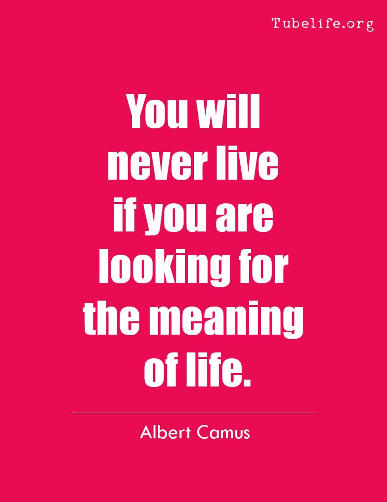Albert Inspirational Quote