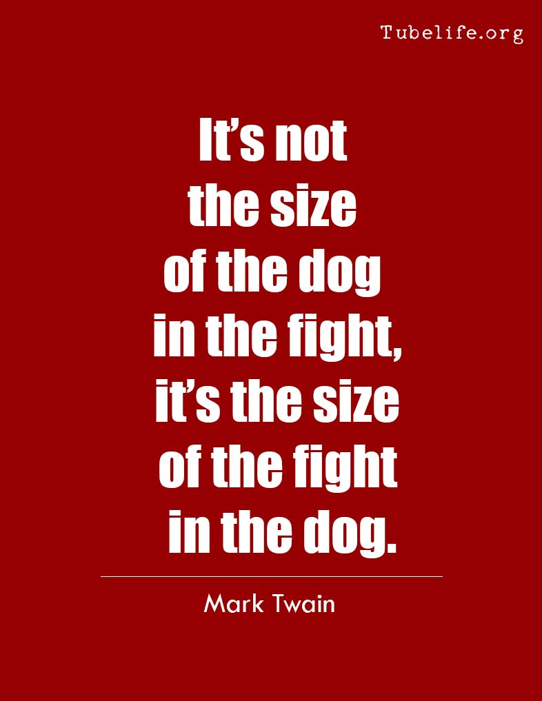 Inspirational Quote Twain