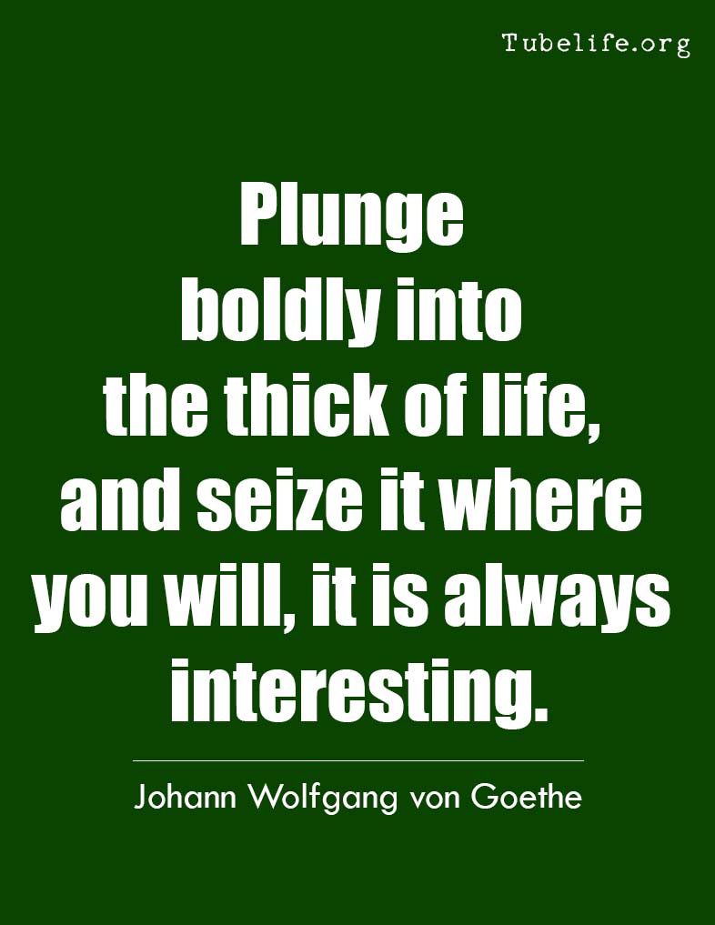 Inspirational Quote Wolfgang von Goethe
