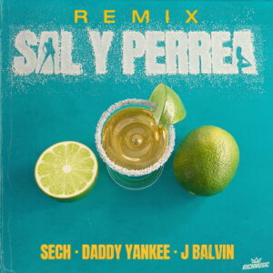 Sal y Perrea Remix by Sech Daddy Yankee J Balvin Lyrics